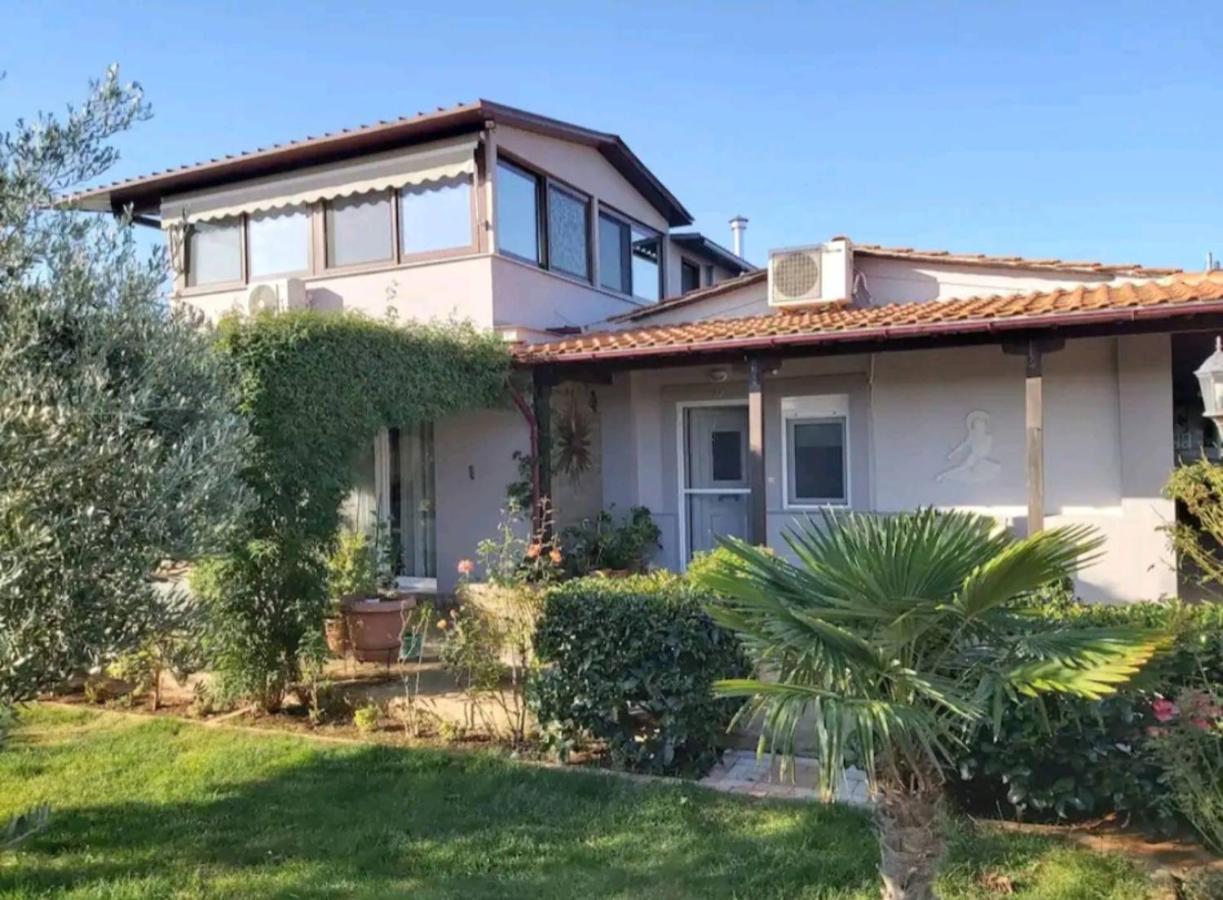 Studio-Appartement Isidora Alexandroupoli Eksteriør billede